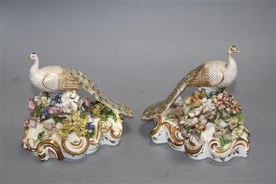 A pair of Derby figures of peacocks, c.1840, red printed crown D mark, H. 15.5 and 16cm